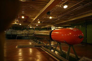 《艾尔登法环：黑夜君临》守护者预告 大鹏鸟战个痛快